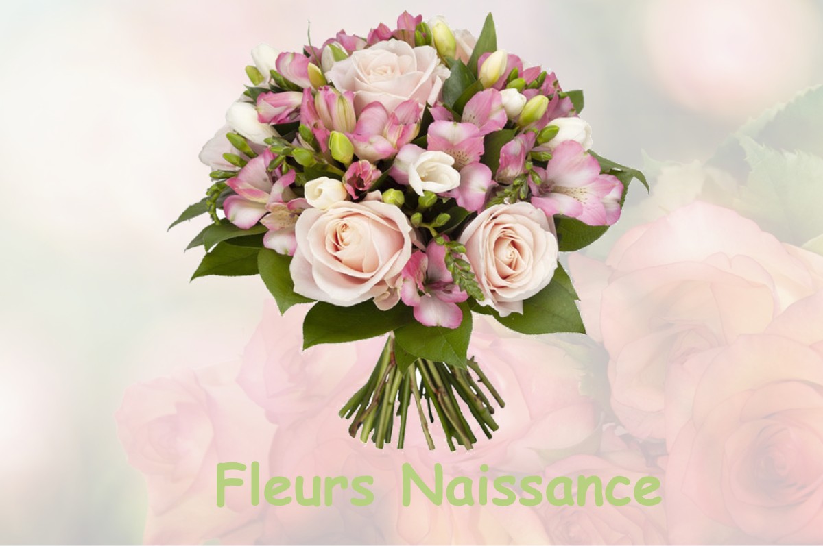 fleurs naissance SAINT-CLEMENT-DE-LA-PLACE